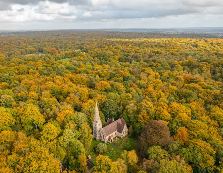 Один із парків Лондона назвали найбільш цінним, і ось чому