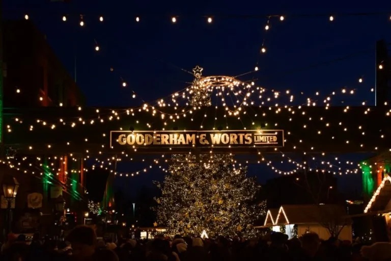 Топ-5 різдвяних маркетів Торонто, які варто відвідати цієї зими